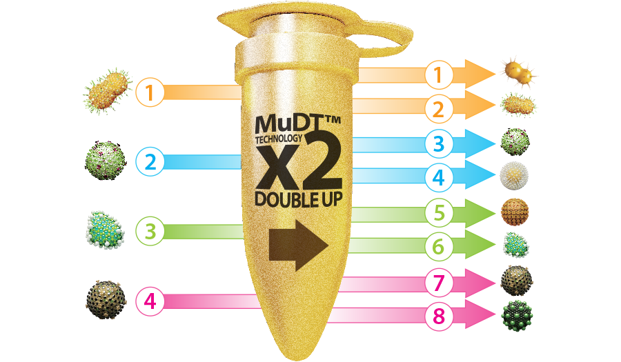 MuDT™
